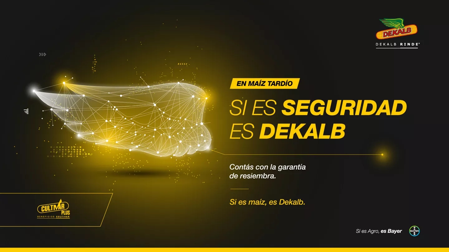 Promo Tools of Si es seguridad, es Dekalb