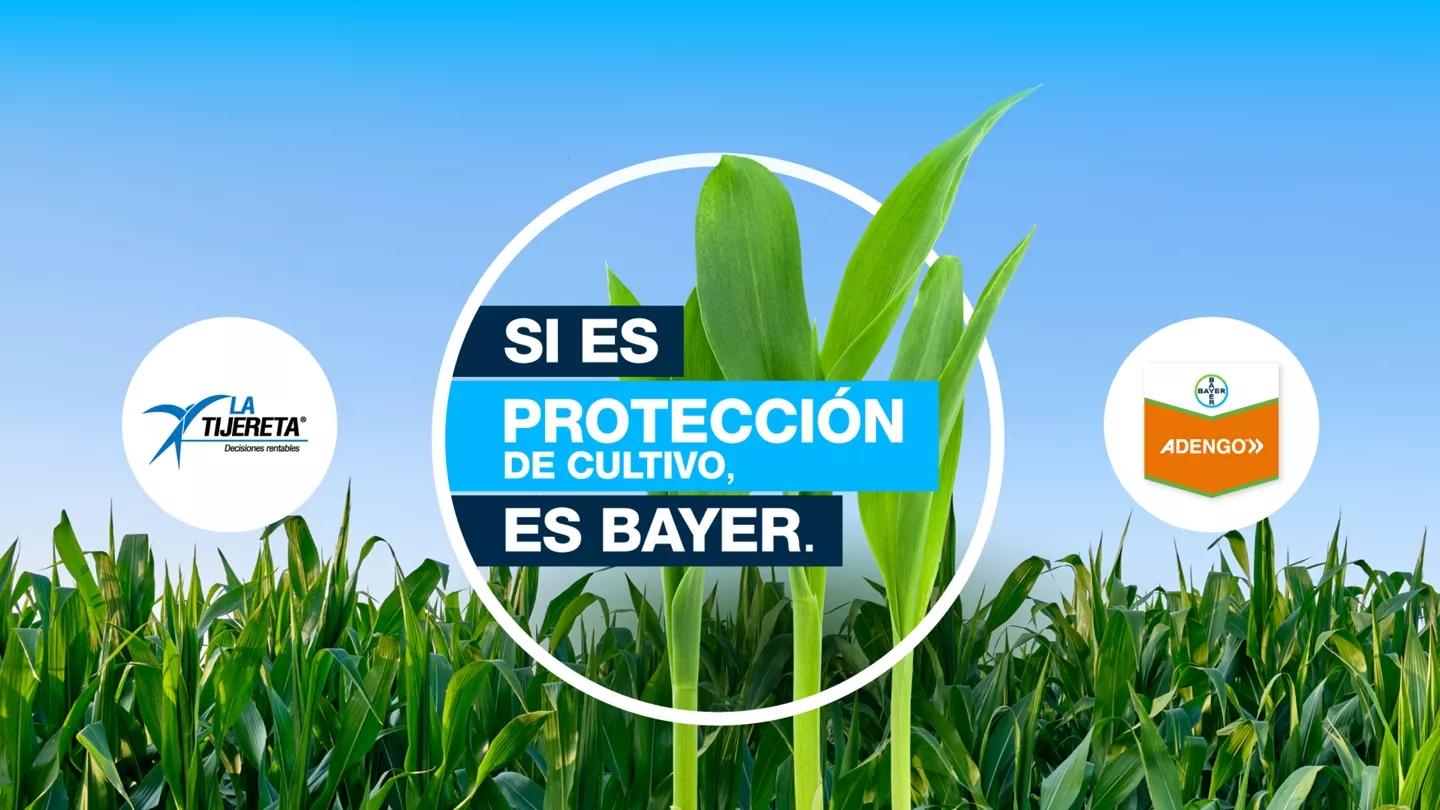 Promo Tools of ¡Comprando La Tijereta accedés a un descuento sobre la Solución Integrada de Bayer!