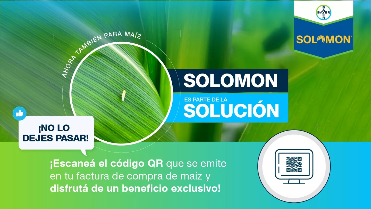 Promo Tools of ¿Sabías que con la compra de tus semillas de maíz podés acceder a un descuento exclusivo en Solomon?